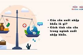 Nêu Cách Tính Cán Cân Xuất Nhập Khẩu Của Việt Nam